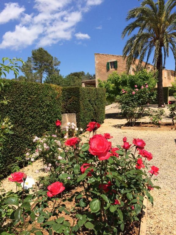Casa Rural Son Bernadinet Lantställe Campos (Mallorca)