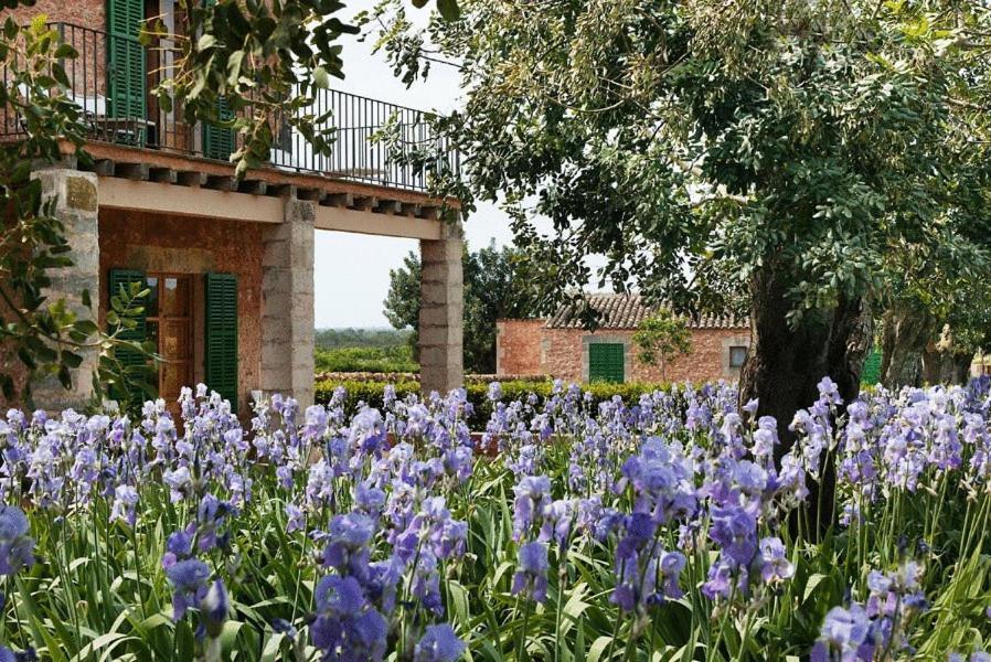 Country house Casa Rural Son Bernadinet