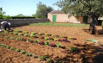 Country house Casa Rural Son Bernadinet Campos (Mallorca)