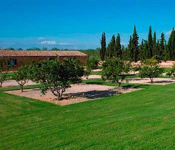 Casa Rural Son Bernadinet Country house *