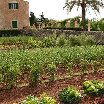 Country house Casa Rural Son Bernadinet Campos (Mallorca)