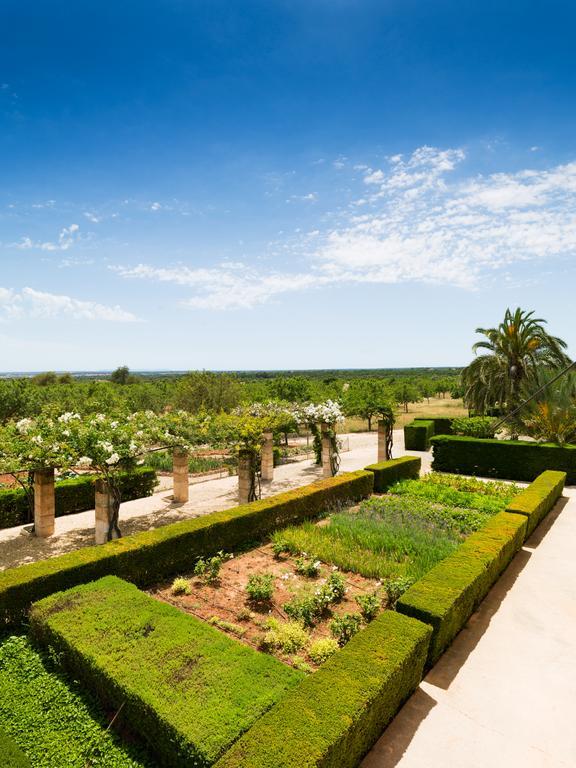 Country house Casa Rural Son Bernadinet Campos (Mallorca)